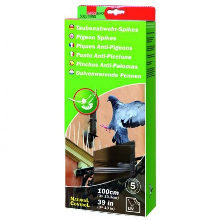 Anti Pigeon - 