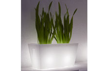 Caisse pour plantes, lumineuse,plastique - Thiene Luce Blanc, 80x40cm 42cm H